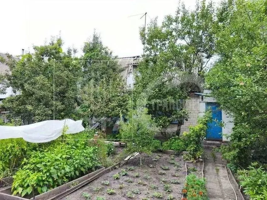 Дом в Воронежская область, Воронеж Росинка СНТ, 50 (55 м) - Фото 0