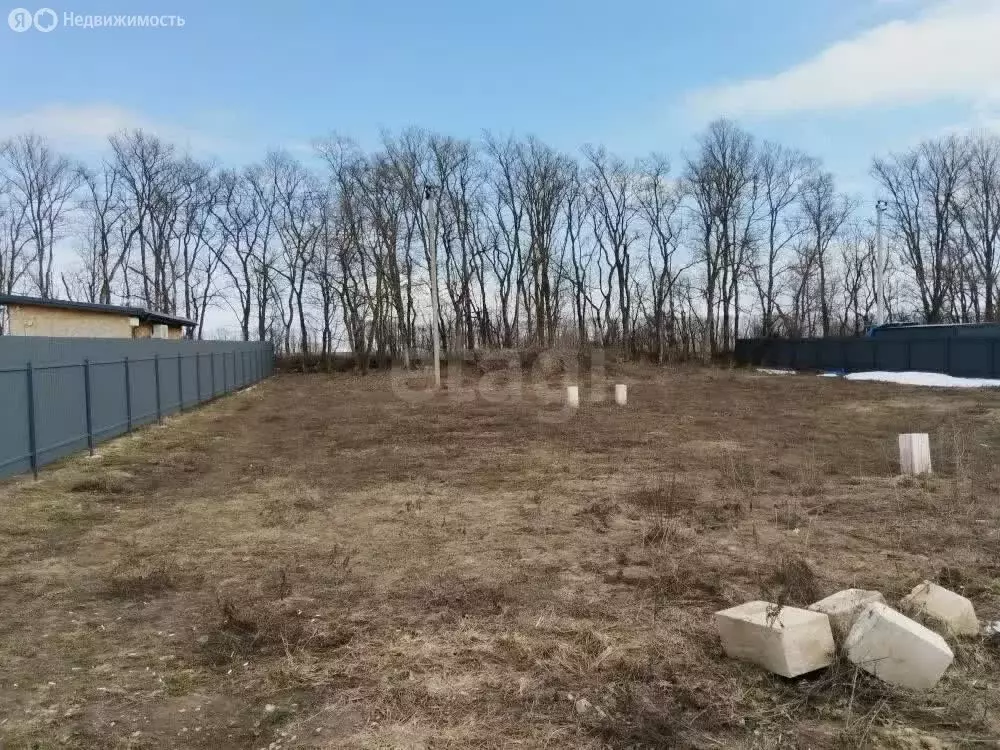 Участок в Тульская область, городской округ Тула, деревня Малёвка ... - Фото 2