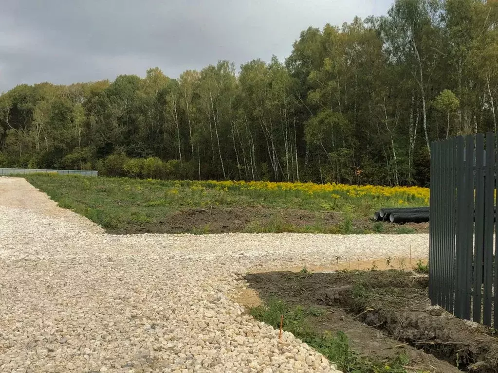 Участок в Московская область, Серпухов городской округ, с. Игумново  ... - Фото 2
