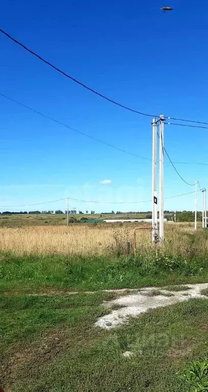 Участок в Мордовия, Лямбирский район, Кривозерьевское с/пос, д. Хаджи ... - Фото 1