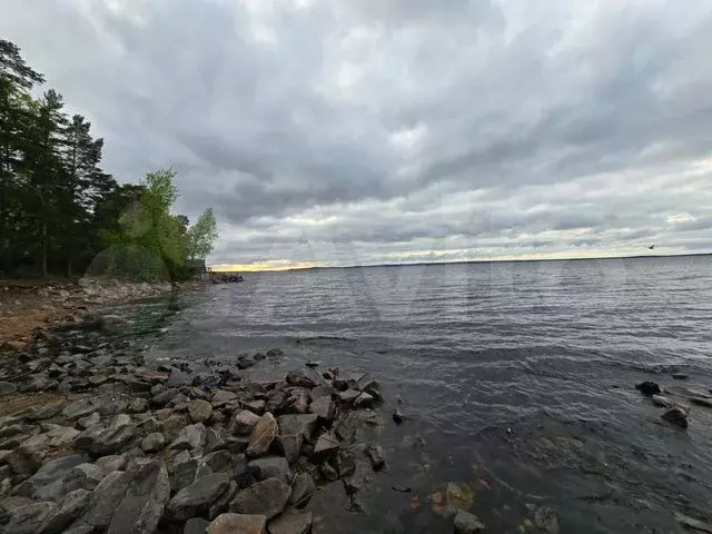Участок 100 сот. (СНТ, ДНП) - Фото 0
