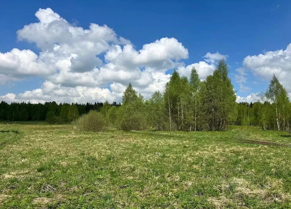 Участок в Московская область, Дмитровский муниципальный округ, д. ... - Фото 2