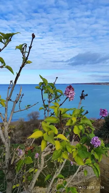 Участок в Севастополь ул. 5-я Равелинная (4.36 сот.) - Фото 1