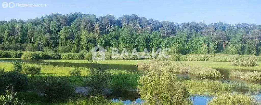 Дом в Тюменская область, Тобольский муниципальный округ, СНТ Природа, ... - Фото 1