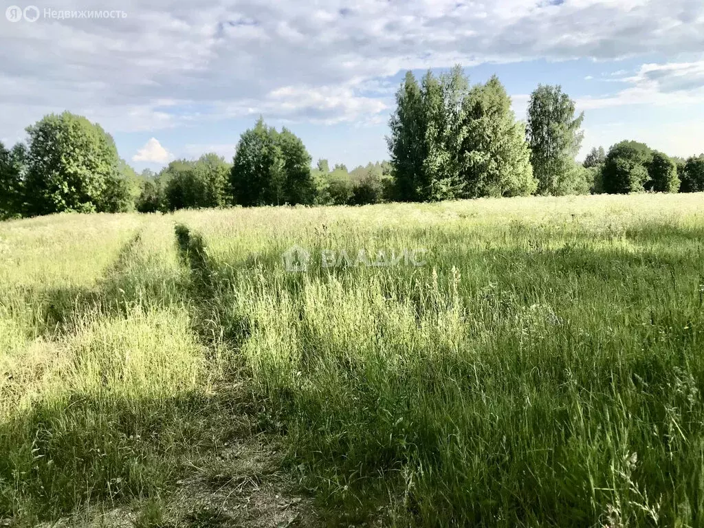 Участок в Вологодская область, Кирилловский муниципальный округ, ... - Фото 1