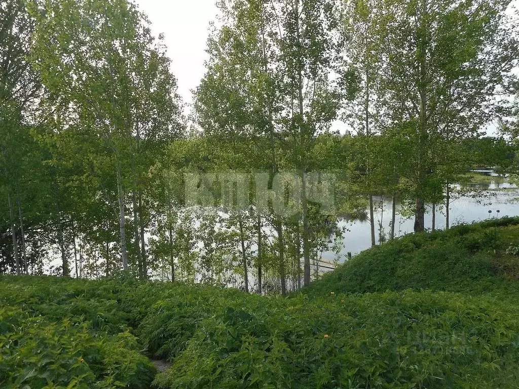 Участок в Вологодская область, Сокольский муниципальный округ, д. ... - Фото 1