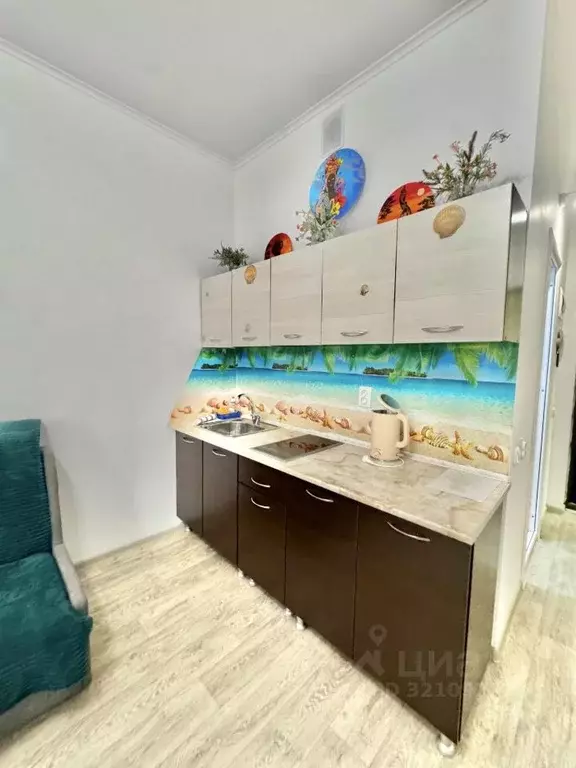 1-к кв. Краснодарский край, Сочи ул. Просвещения, 118/1 (27.0 м) - Фото 2