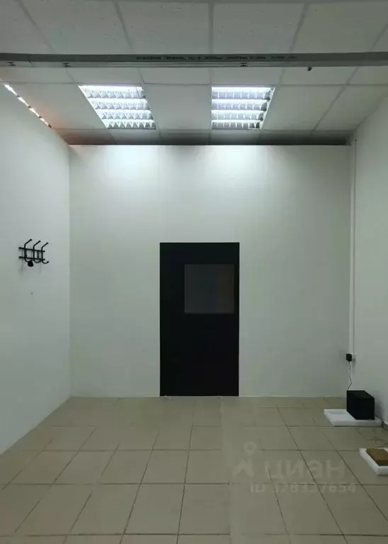 Помещение свободного назначения в Курская область, Курск ул. Ленина, ... - Фото 2