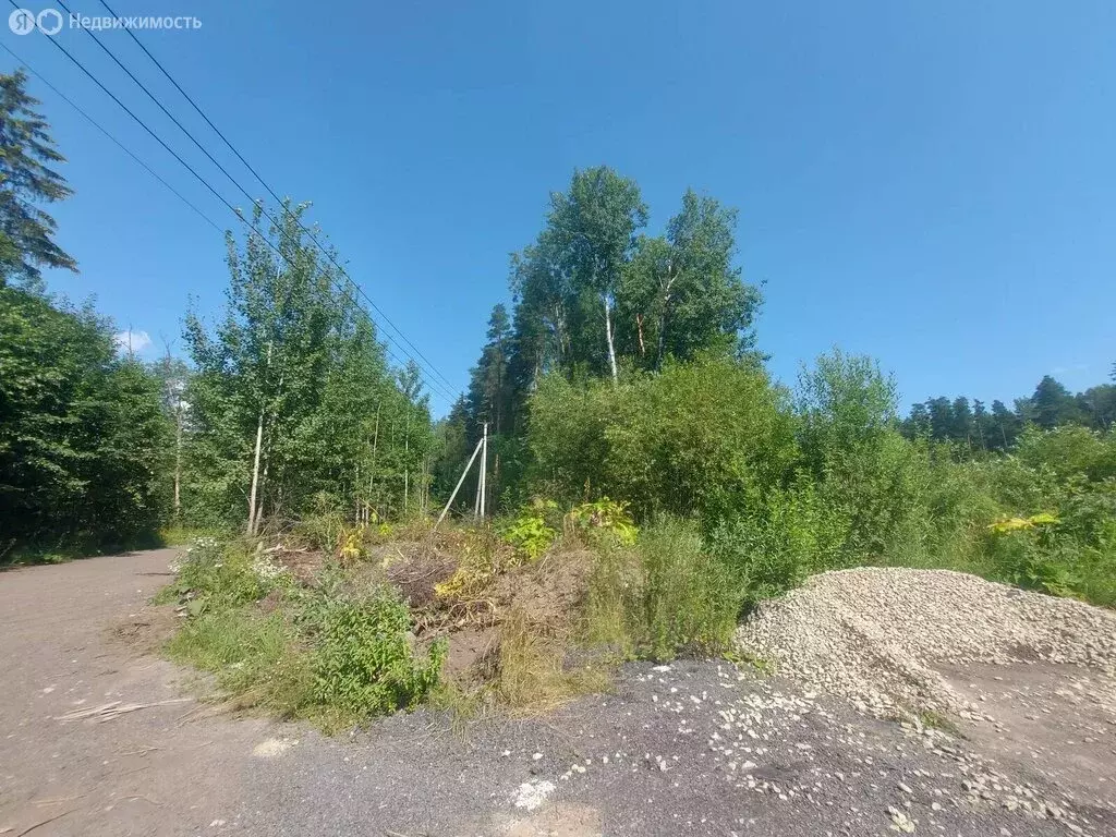 Участок в Всеволожский район, городской посёлок имени Свердлова (582 ... - Фото 1