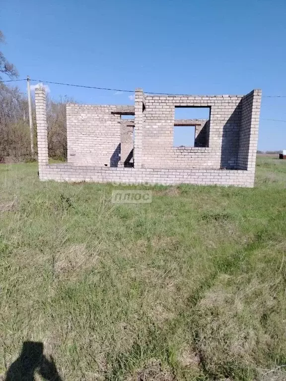 Участок в Липецкая область, Грязинский муниципальный округ, с. ... - Фото 2