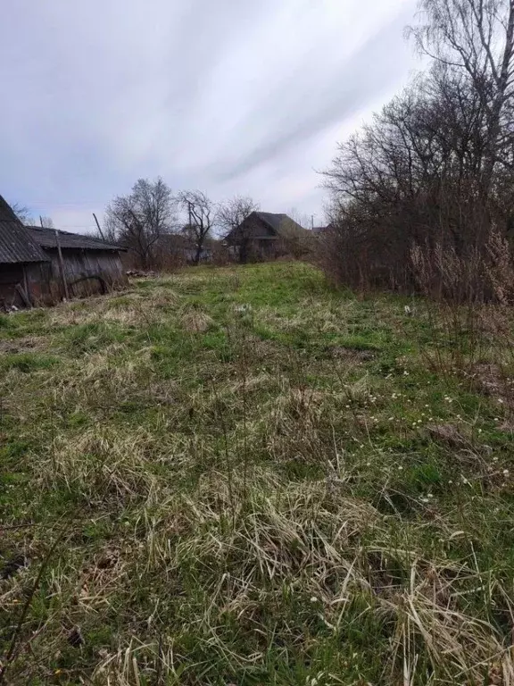 Участок в Смоленская область, Смоленский муниципальный округ, с. ... - Фото 1