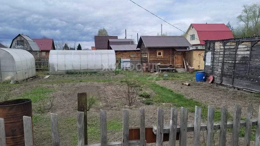 Дом в Новосибирская область, Колыванский район, Надежда СТ  (10 м) - Фото 1
