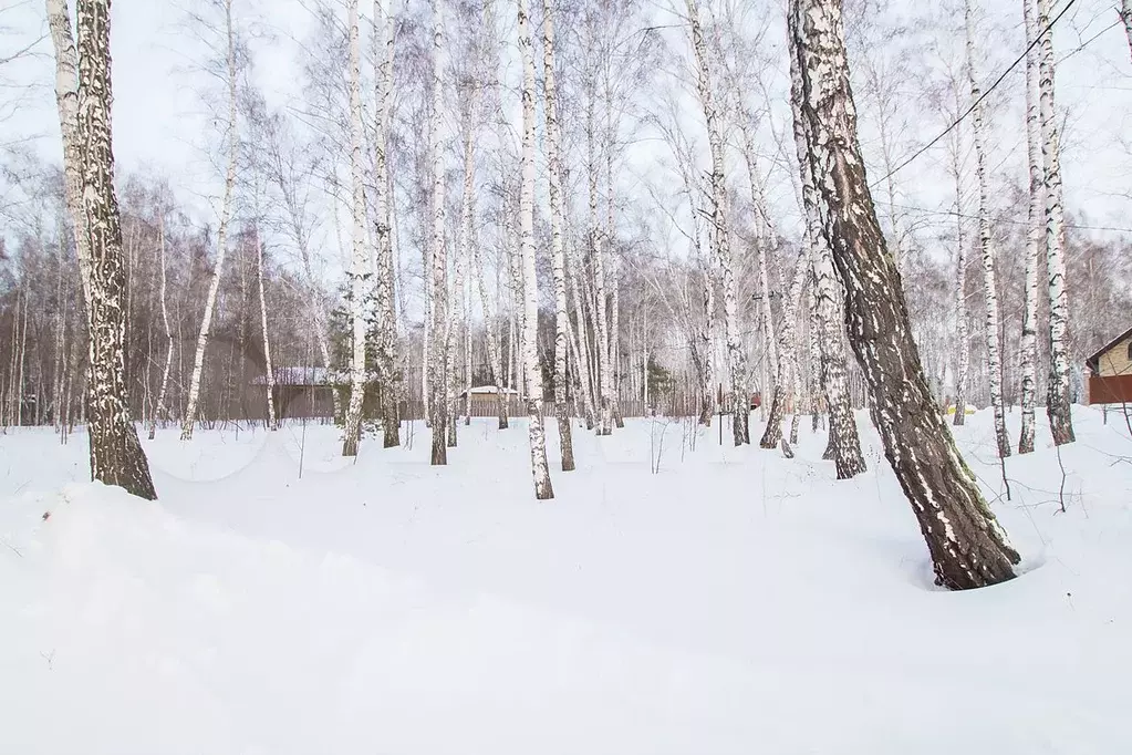 Купить Участок В Кольцово Новосибирской