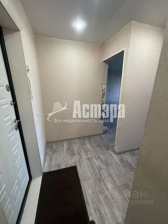 1-к кв. Забайкальский край, Чита Ковыльная ул., 22 (31.0 м) - Фото 1