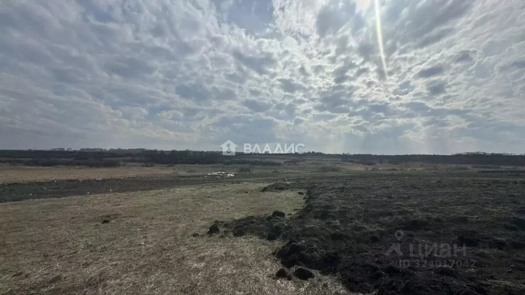 Участок в Пензенская область, Бессоновский район, с. Ухтинка  (6.12 ... - Фото 1