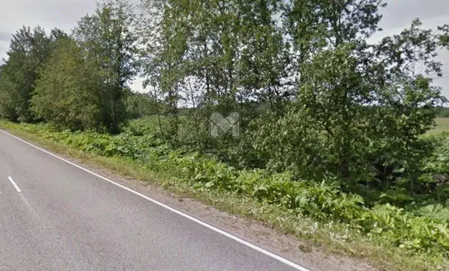 Участок в Ленинградская область, Кировский район, Суховское с/пос, д. ... - Фото 1