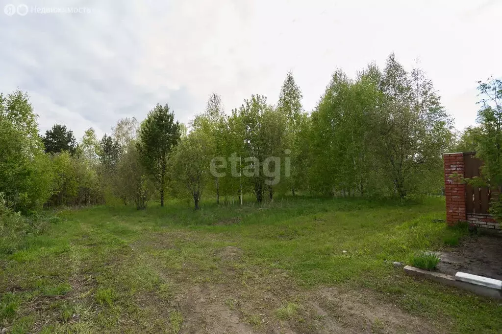 Участок в село Корнилово, жилой массив Барсучья гора, Крещенская улица ... - Фото 0