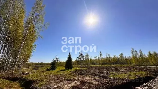 Участок в Ленинградская область, Всеволожский район, Куйвозовское ... - Фото 0