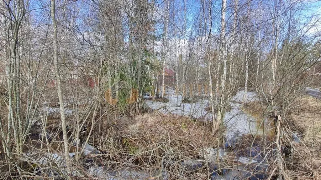 Участок в Ленинградская область, Выборгский район, Рощинское городское ... - Фото 1