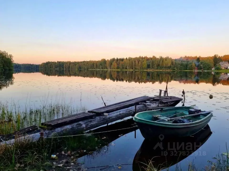 Участок в Карелия, Олонецкий район, Коверское с/пос, д. Нурмолицы  ... - Фото 2
