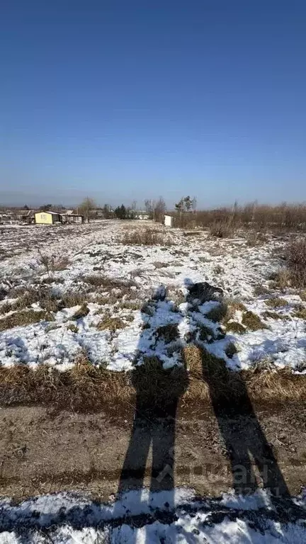 Участок в Приморский край, Яковлевский муниципальный округ, с. ... - Фото 0