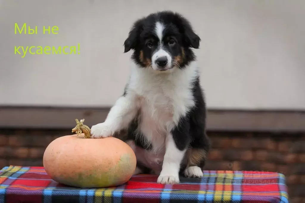 Офис в Московская область, Мытищи Олимпийский просп., 10 (127 м) - Фото 1