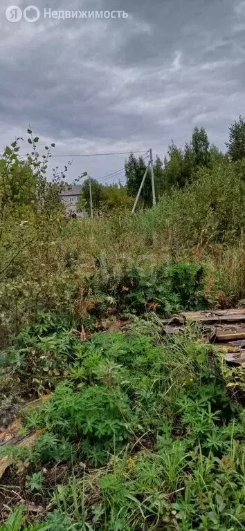 Участок в Шадринск, СНТ Радуга (993 м) - Фото 0