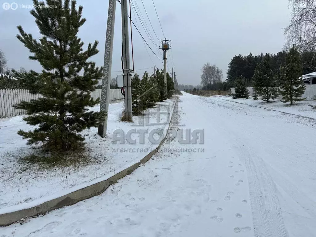 Участок в Красноярский край, Емельяновский муниципальный округ, СТ ... - Фото 2