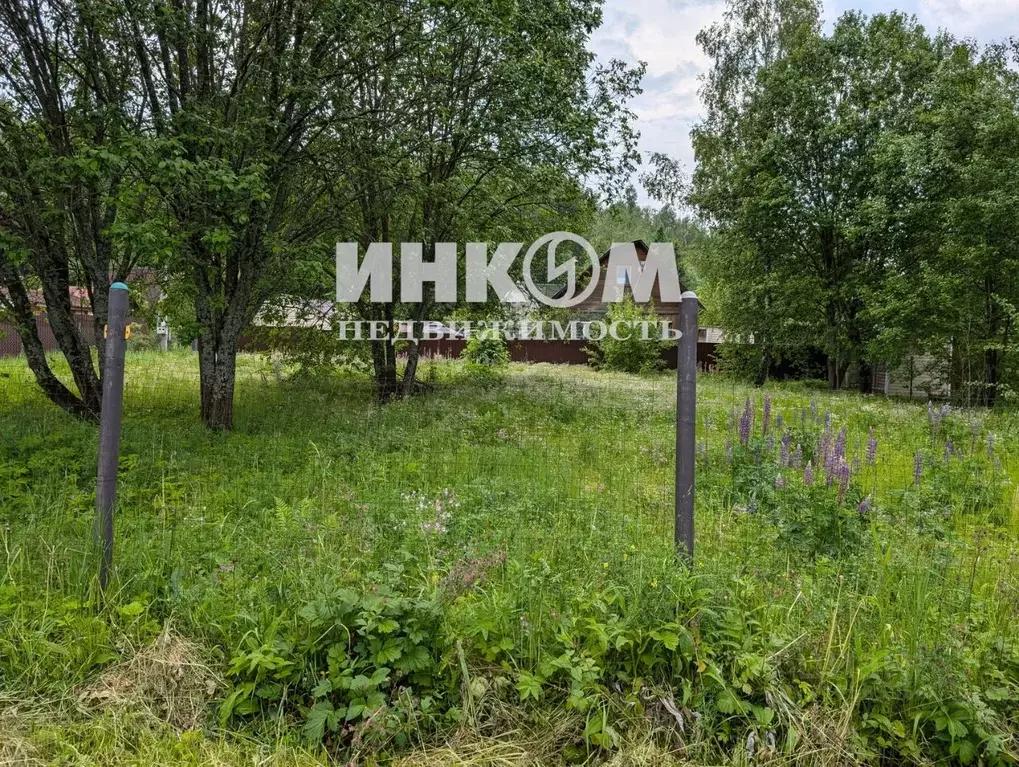 Участок в Москва Рубин СНТ, 51 (6.0 сот.) - Фото 0