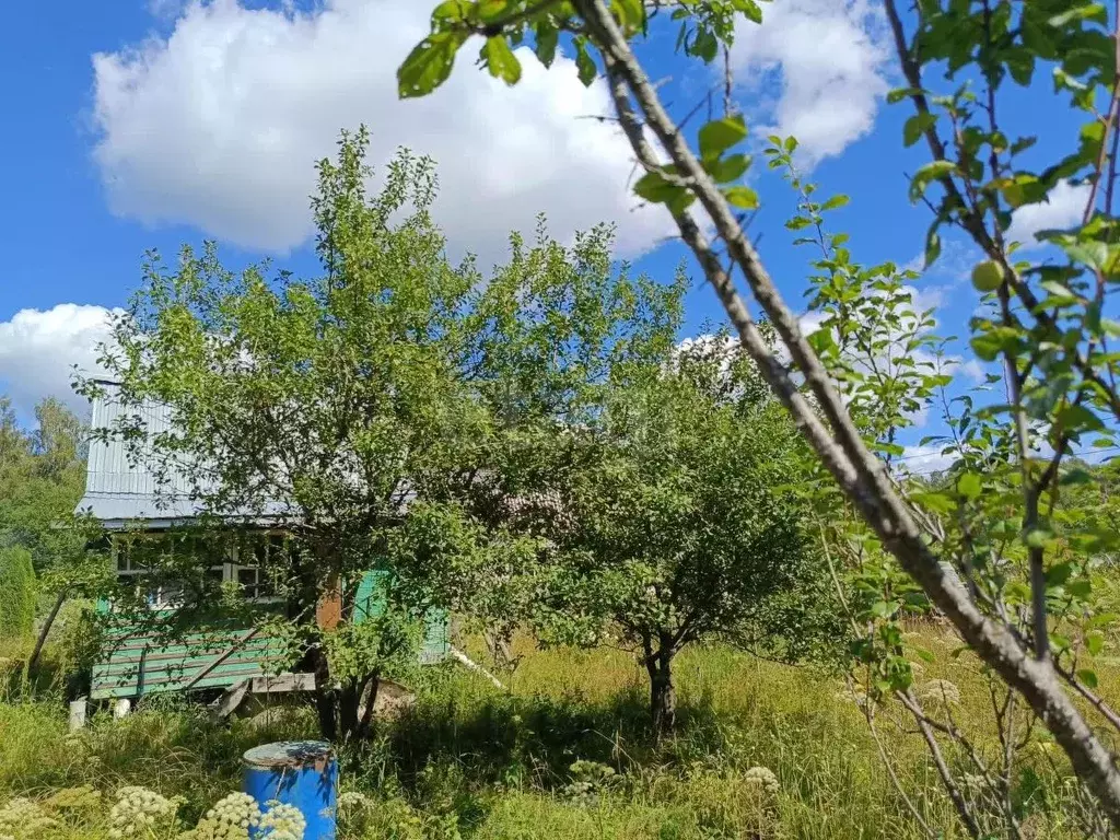 Участок в Смоленская область, Гагаринский муниципальный округ, Сетунь ... - Фото 1