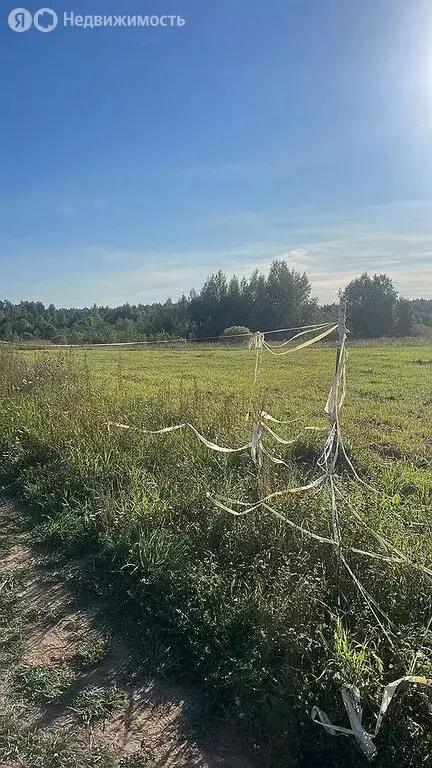 Участок в Скребловское сельское поселение, деревня Старая Серёдка (24 ... - Фото 0