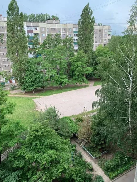3-к кв. Курская область, Курск ул. Косухина, 5 (60.2 м) - Фото 1