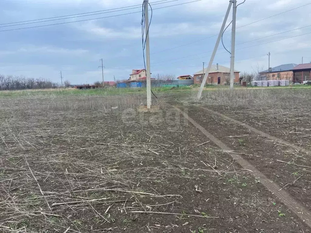 Участок в Ростовская область, Мясниковский район, с. Большие Салы ул. ... - Фото 1