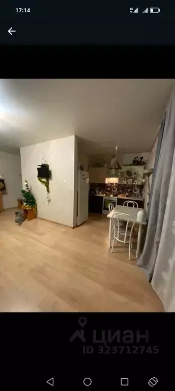 Студия Алтай, Горно-Алтайск Технологический пер., 14/1 (35.0 м) - Фото 2