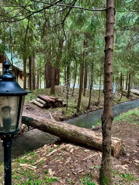 Участок в Московская область, Одинцовский городской округ, д. Хлюпино ... - Фото 2