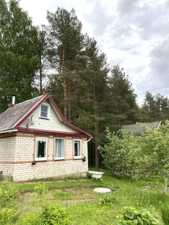 Дом в Новгородская область, Валдайский муниципальный район, Яжелбицкое ... - Фото 1