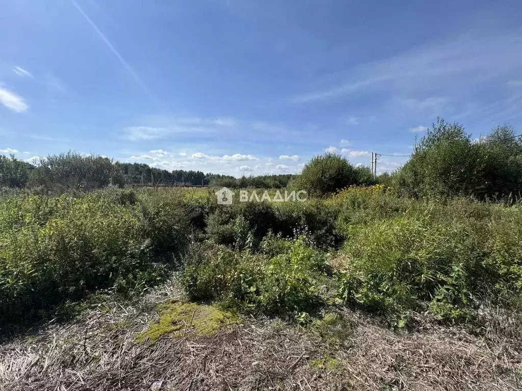 Участок в Московская область, Богородский городской округ, д. ... - Фото 1