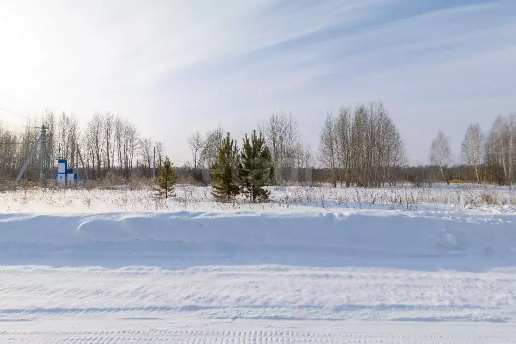 Участок в Тюменская область, Нижнетавдинский муниципальный округ, ... - Фото 1