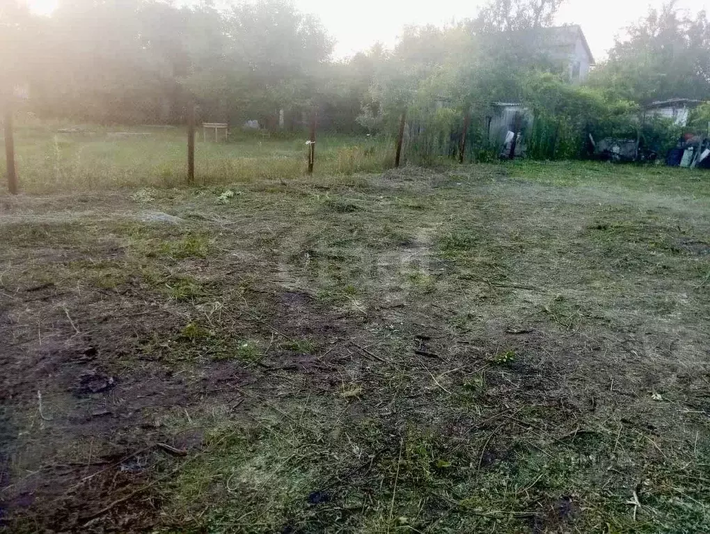 Участок в Воронежская область, Воронеж Вега-88 СНТ, ул. 20-я, 1200 ... - Фото 1