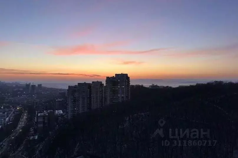1-к кв. Приморский край, Владивосток Русская ул., 95 (28.0 м) - Фото 0