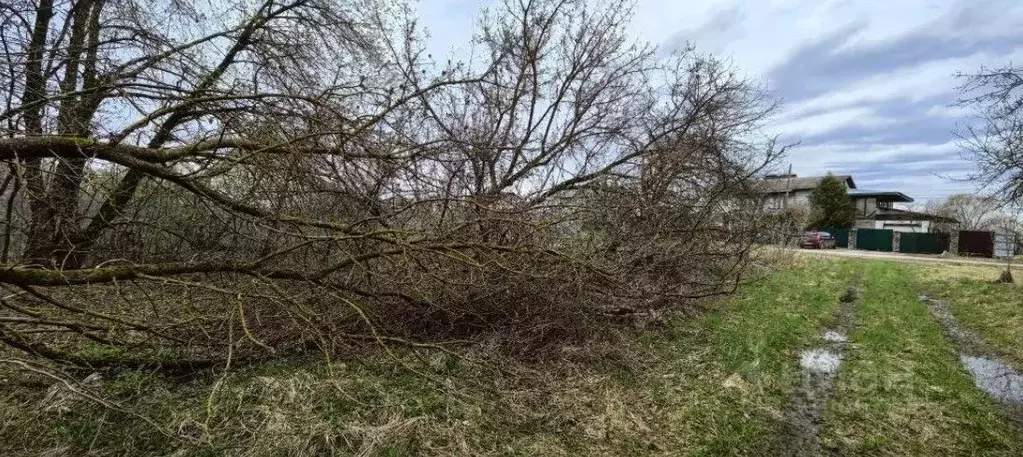 Участок в Московская область, Коломна городской округ, с. Чанки  ... - Фото 1