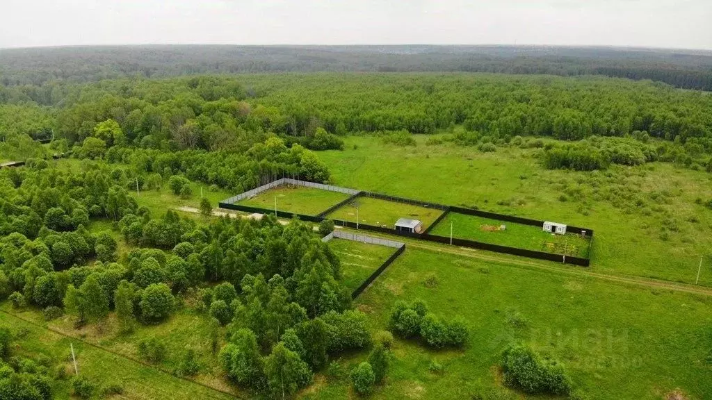 Участок в Тульская область, Заокский район, Страховское муниципальное ... - Фото 2