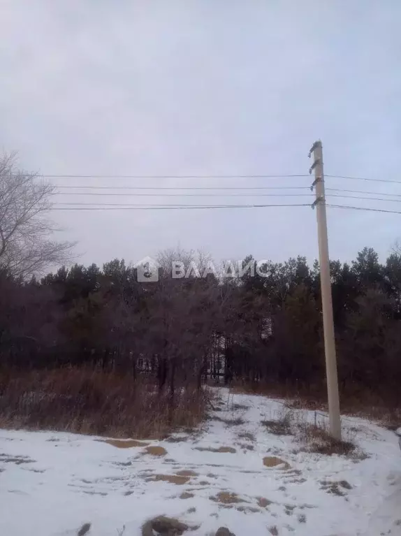 Участок в Амурская область, Благовещенский район, с. Усть-Ивановка  ... - Фото 1