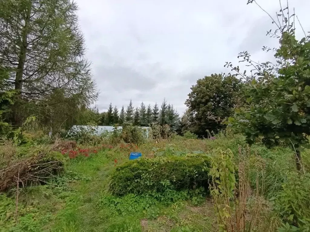 Участок в Калининградская область, Гурьевский муниципальный округ, ... - Фото 1