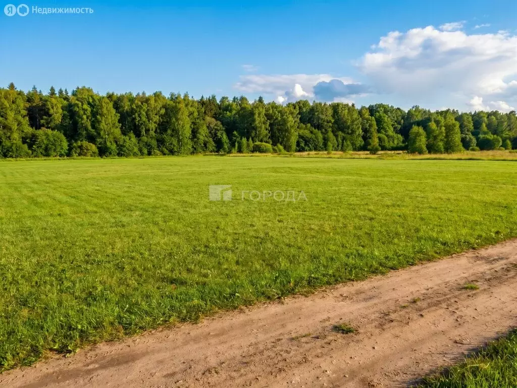 Участок в Первомайский район, посёлок Бажево, Луговая улица (1098 м) - Фото 1