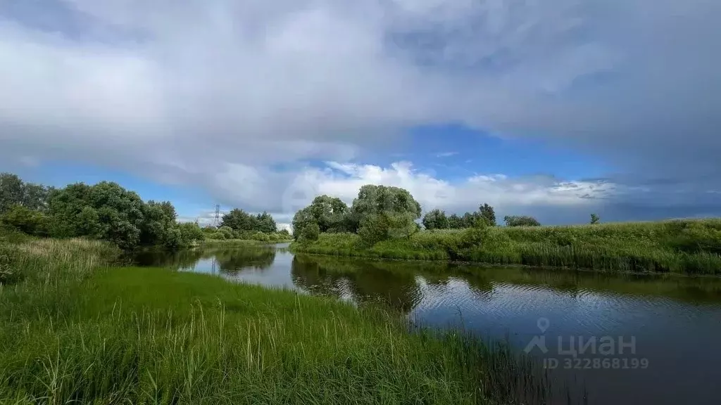 Участок в Ярославская область, Ярославский муниципальный округ, ... - Фото 0