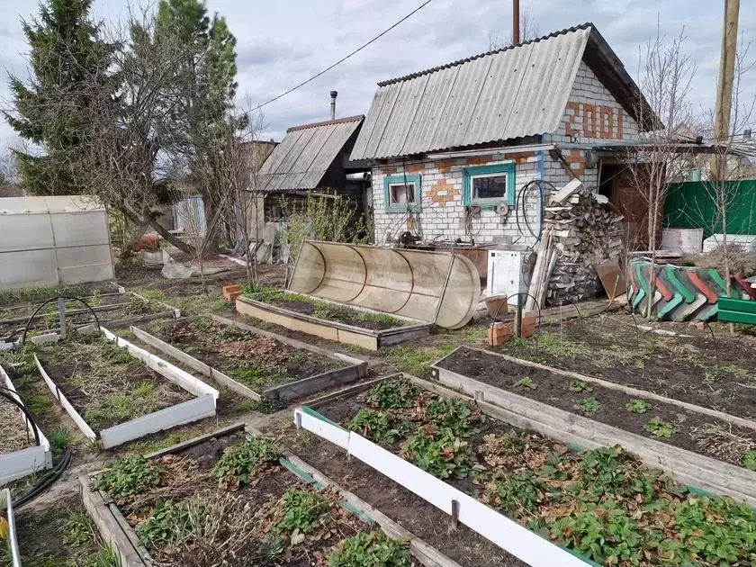 Участок 4 сот. (СНТ, ДНП) - Фото 1