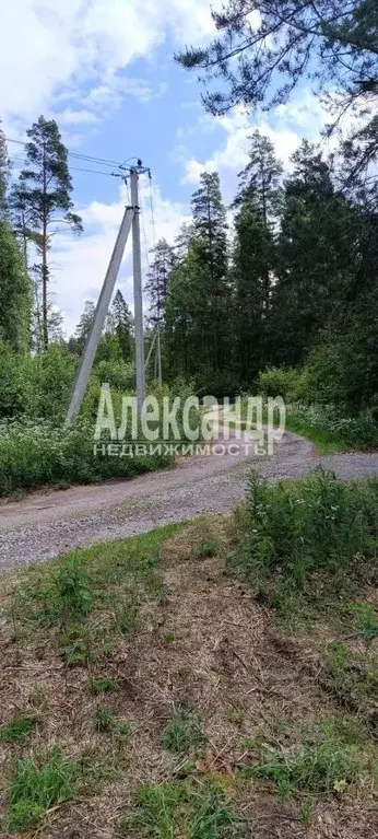 Участок в Ленинградская область, Приозерский район, Ларионовское ... - Фото 0