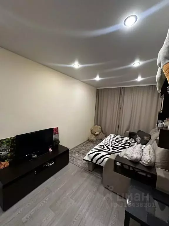 1-к кв. Волгоградская область, Волгоград ул. Грибанова, 5А (26.0 м) - Фото 2