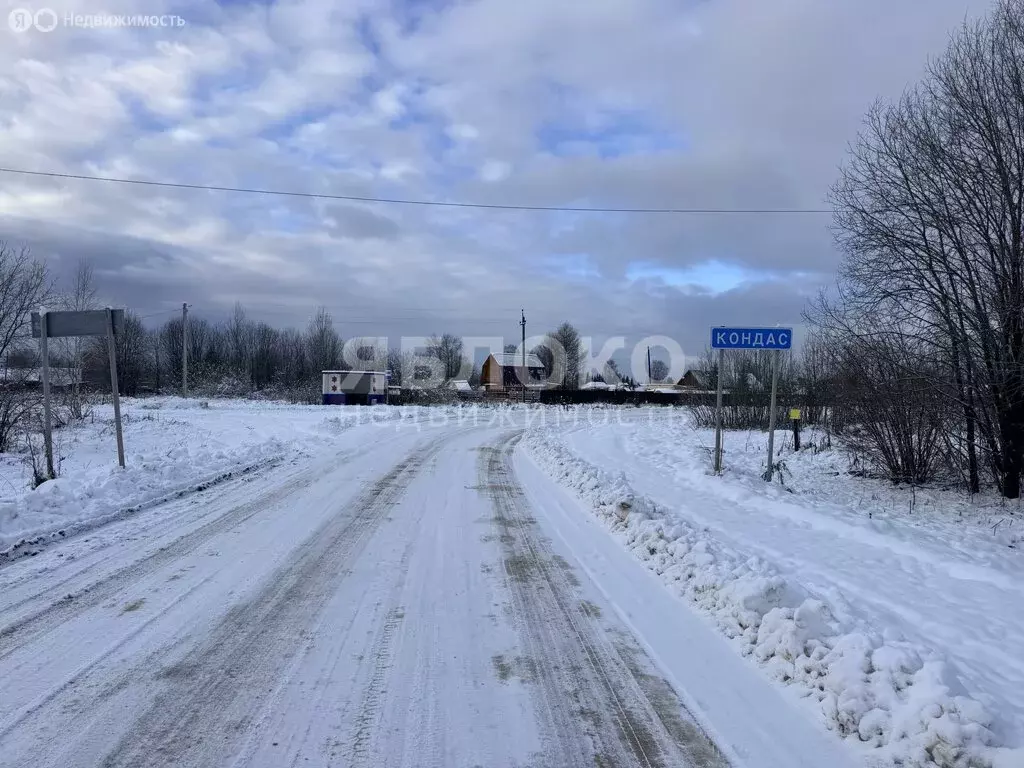 Участок в Пермский край, муниципальный округ Березники, деревня ... - Фото 1